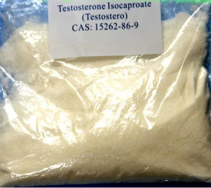 Testosterone Isocaproate Powder